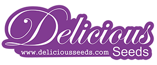 delicius seeds