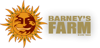 barney farm seeds