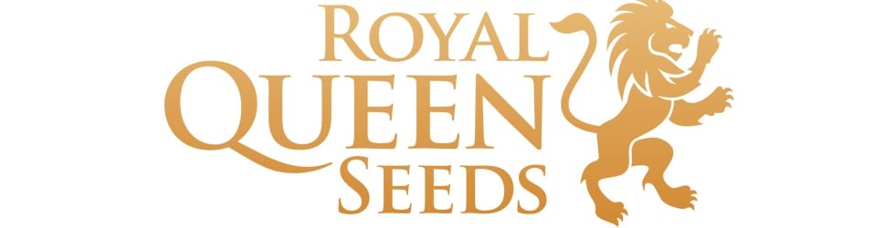 royal queen seeds 
